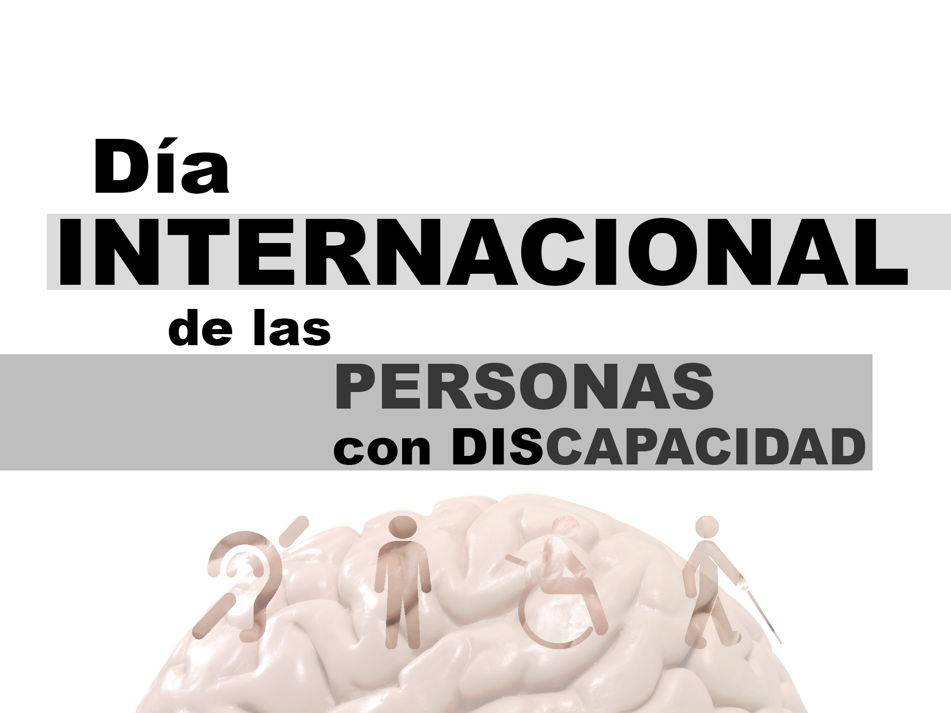 Día Internacional de las Personas con Discapacidad
