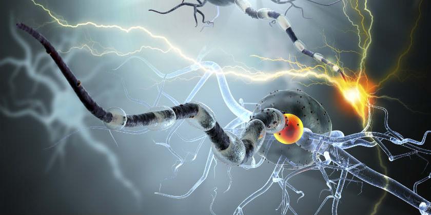 La Epilepsia
